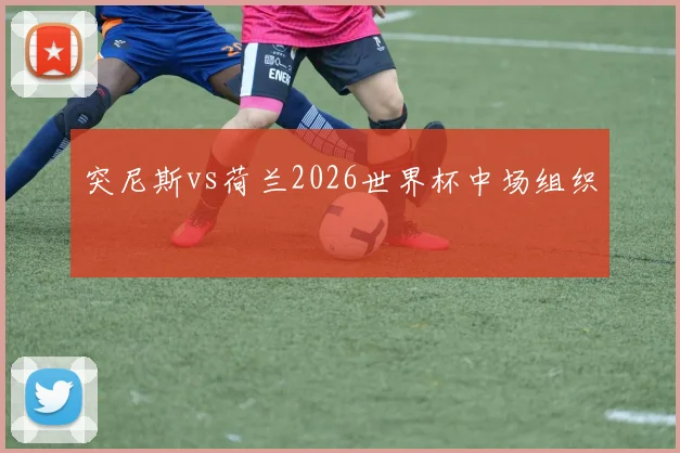 突尼斯vs荷兰2026世界杯中场组织
