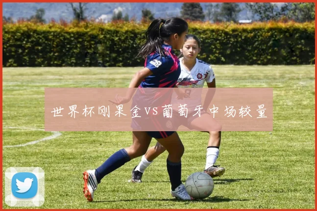 世界杯刚果金vs葡萄牙中场较量
