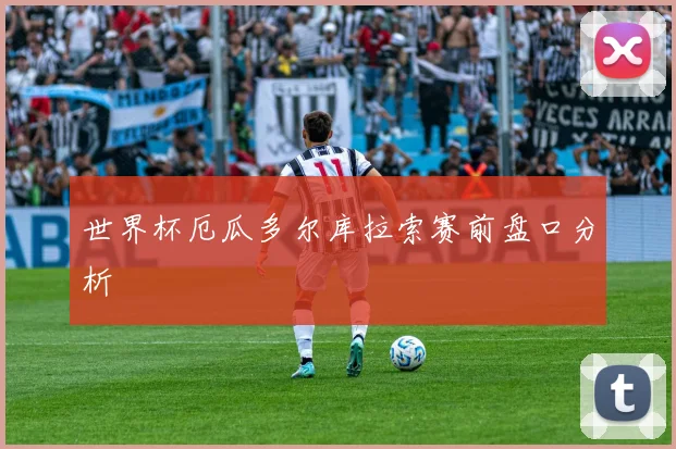 世界杯厄瓜多尔库拉索赛前盘口分析
