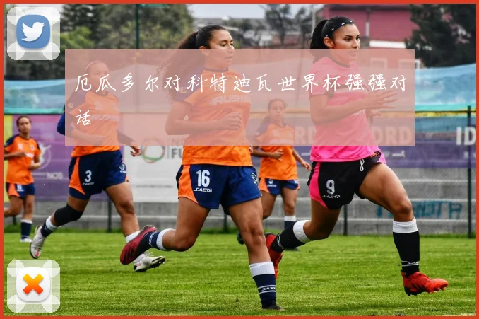 厄瓜多尔对科特迪瓦世界杯强强对话