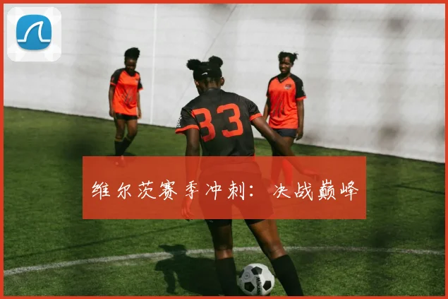 维尔茨赛季冲刺：决战巅峰
