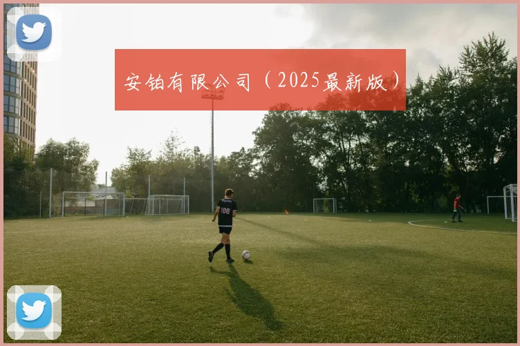 安铂有限公司（2025最新版）