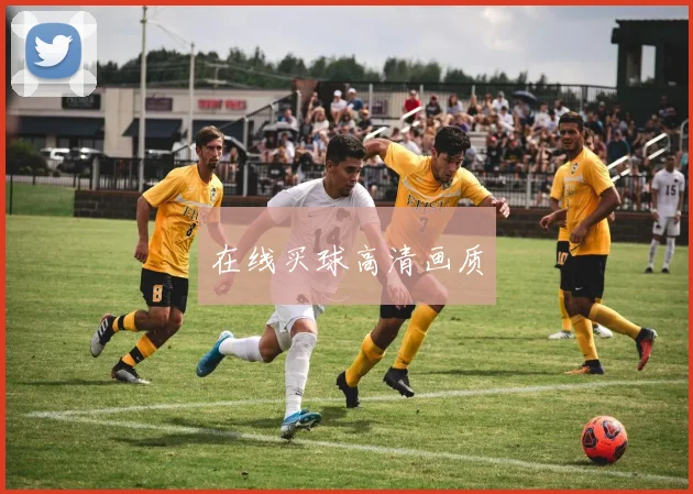 在线买球高清画质