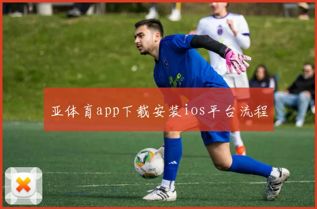 亚体育app下载安装ios平台流程