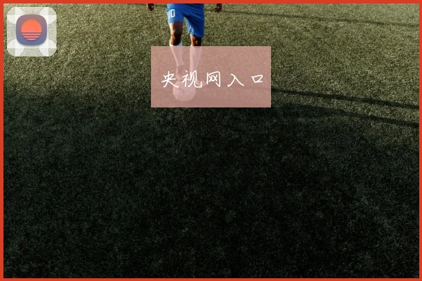 央视网入口