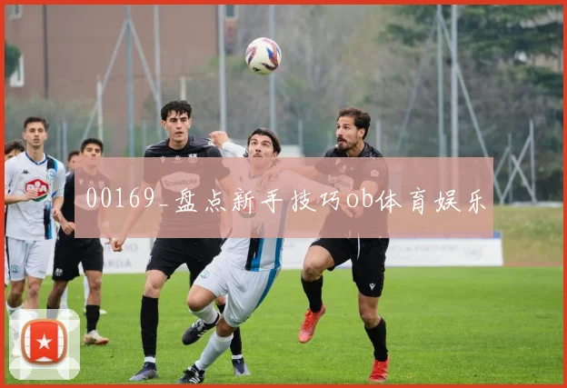 00169_盘点新手技巧ob体育娱乐
