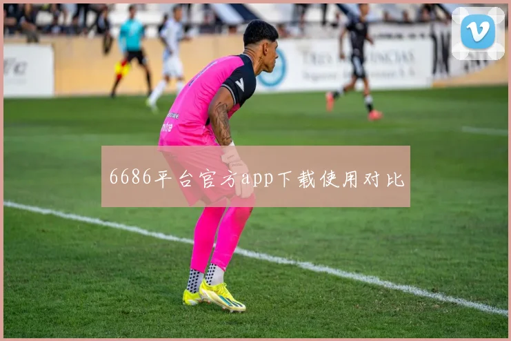 6686平台官方app下载使用对比