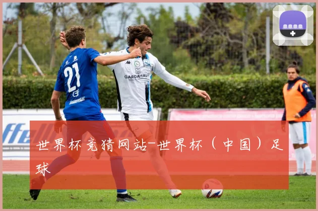 世界杯竞猜网站-世界杯（中国）足球