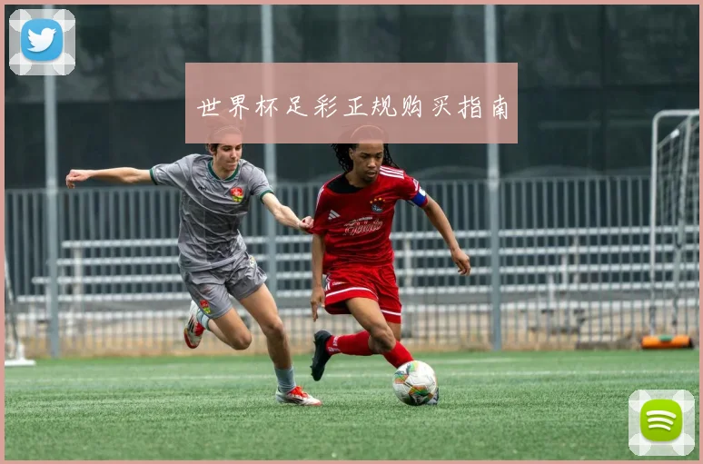 世界杯足彩正规购买指南
