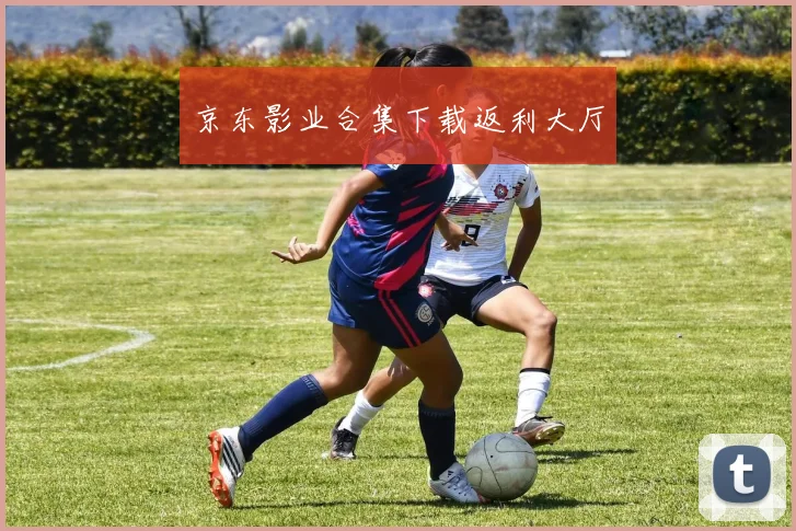 京东影业合集下载返利大厅