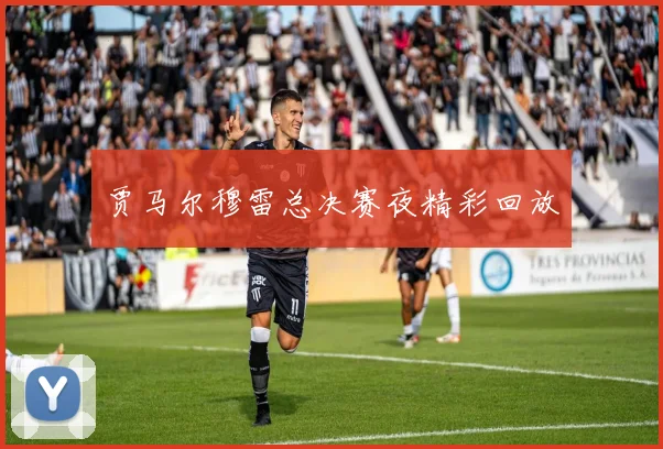 贾马尔穆雷总决赛夜精彩回放