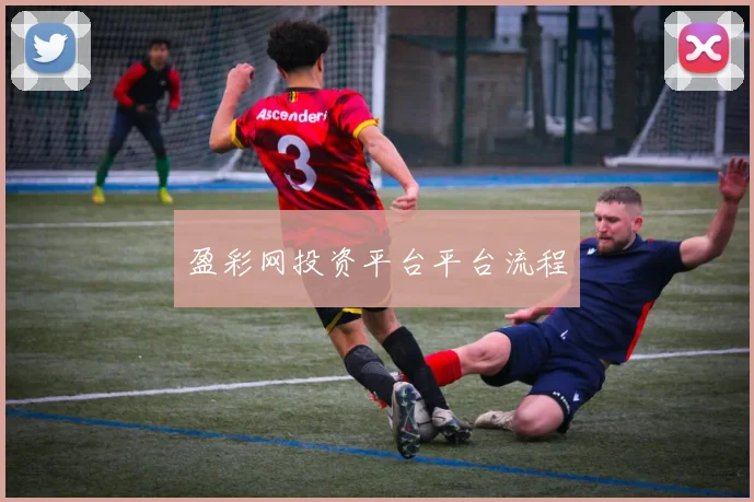 盈彩网投资平台平台流程