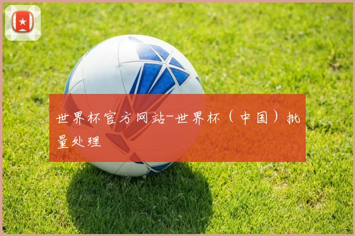 世界杯官方网站-世界杯（中国）批量处理