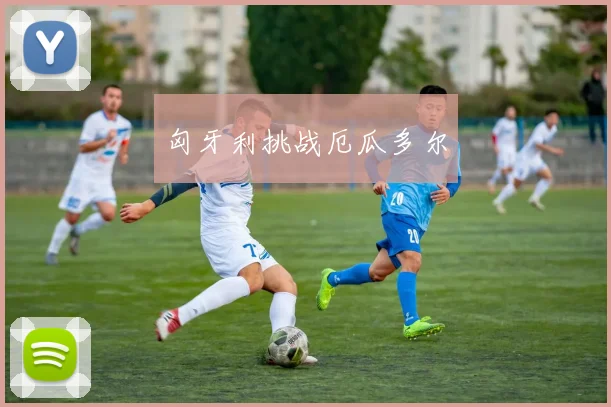 匈牙利挑战厄瓜多尔