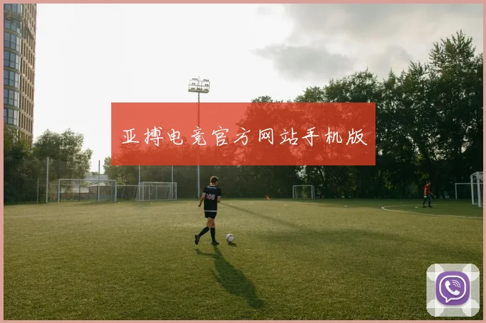 亚搏电竞官方网站手机版