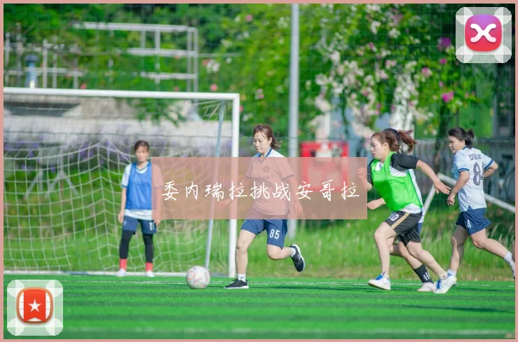 委内瑞拉挑战安哥拉