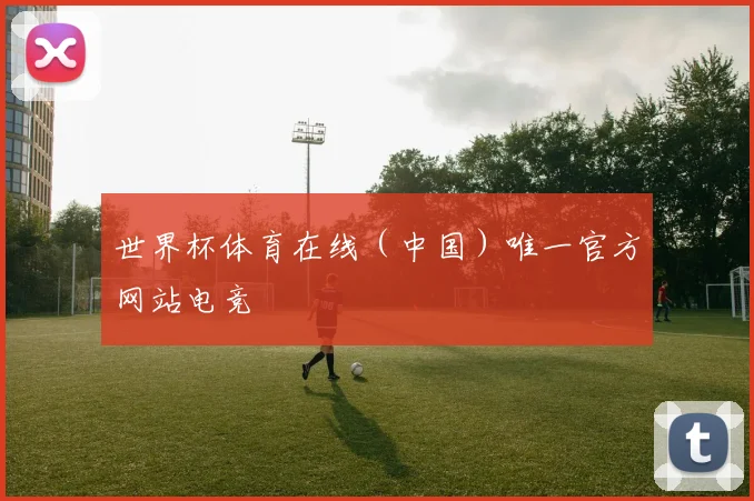世界杯体育在线（中国）唯一官方网站电竞