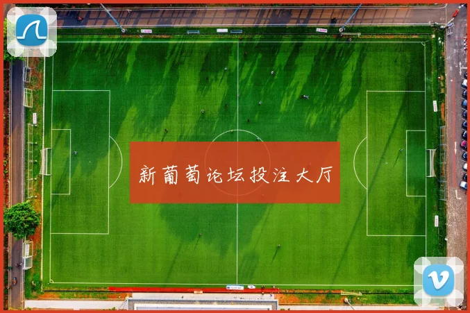 新葡萄论坛投注大厅