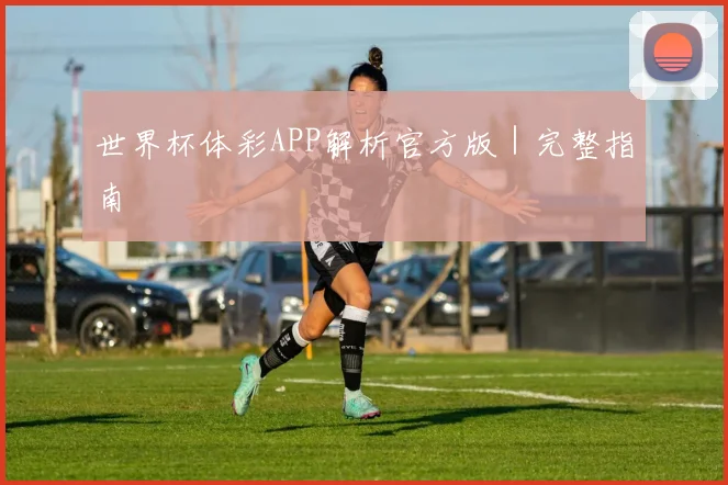 世界杯体彩APP解析官方版｜完整指南