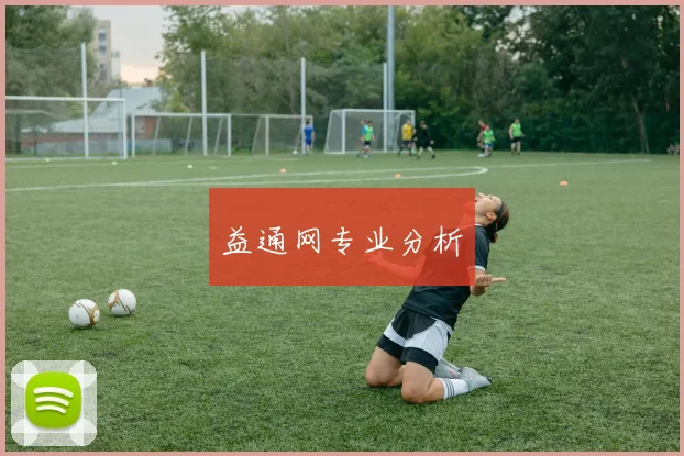 益通网专业分析