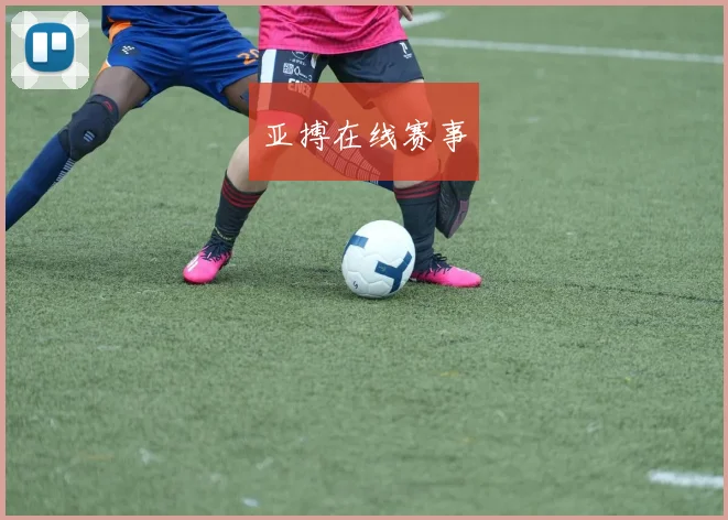 亚搏在线赛事