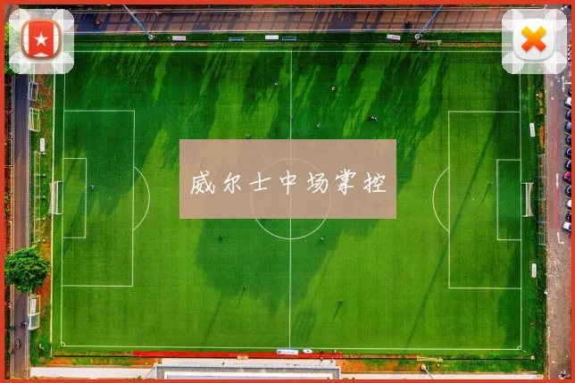 威尔士中场掌控