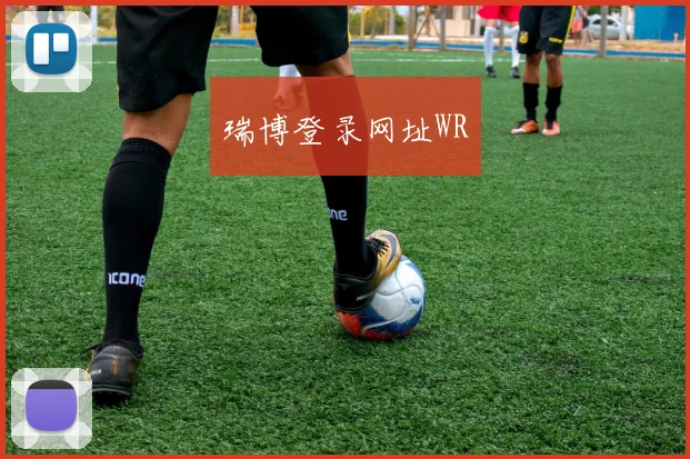 瑞博登录网址WR