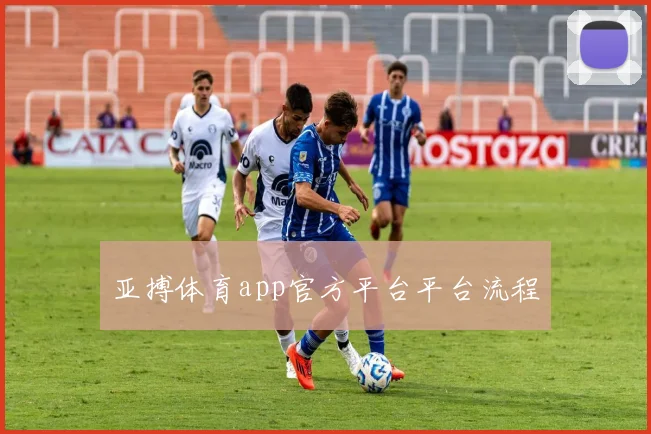 亚搏体育app官方平台平台流程