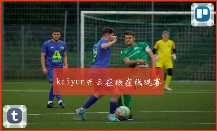 kaiyun开云在线在线观赛