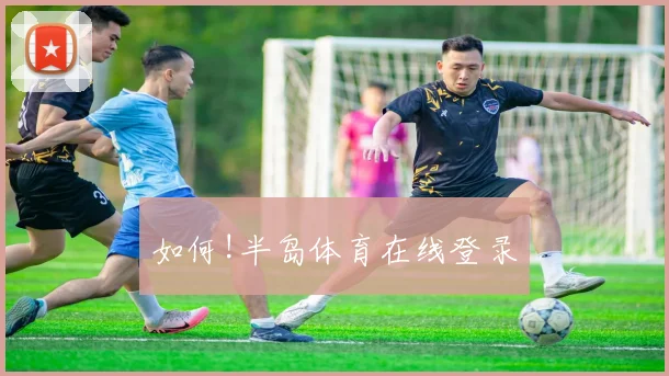 如何!半岛体育在线登录