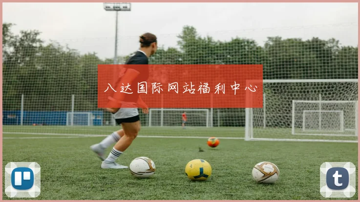 八达国际网站福利中心