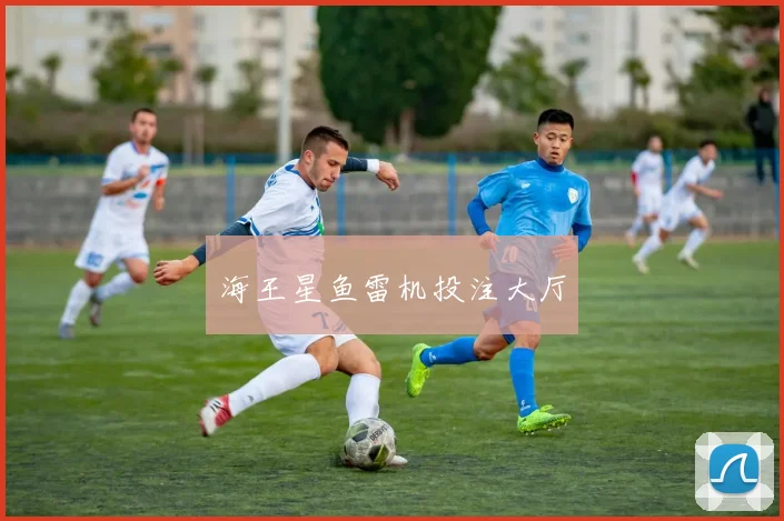 海王星鱼雷机投注大厅