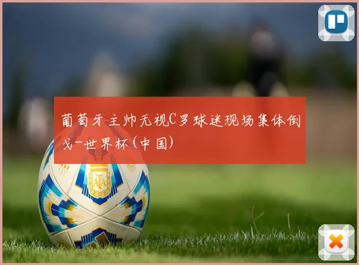 葡萄牙主帅无视C罗球迷现场集体倒戈-世界杯(中国)