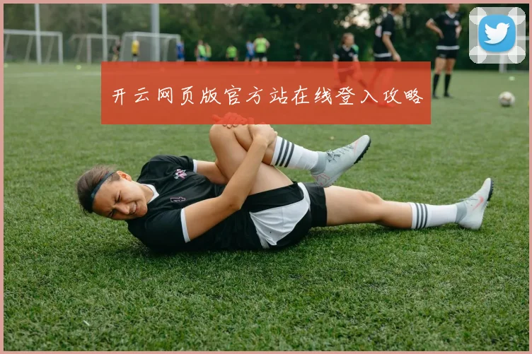 开云网页版官方站在线登入攻略