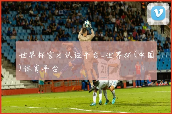 世界杯官方认证平台_世界杯(中国)体育平台