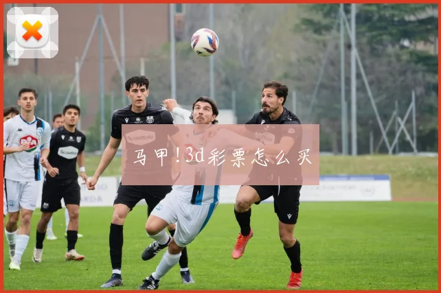 马甲!3d彩票怎么买