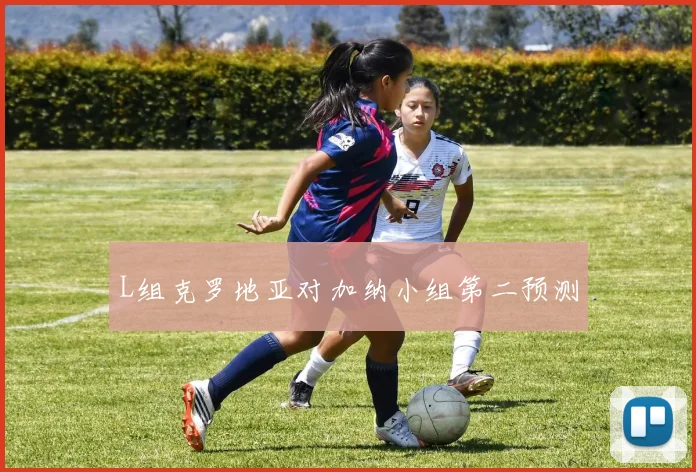 L组克罗地亚对加纳小组第二预测