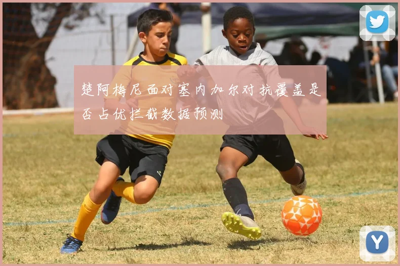 楚阿梅尼面对塞内加尔对抗覆盖是否占优拦截数据预测